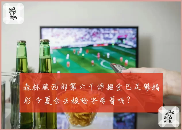 森林狼西部第六干掉掘金已足够精彩 今夏会去梭哈字母哥吗？