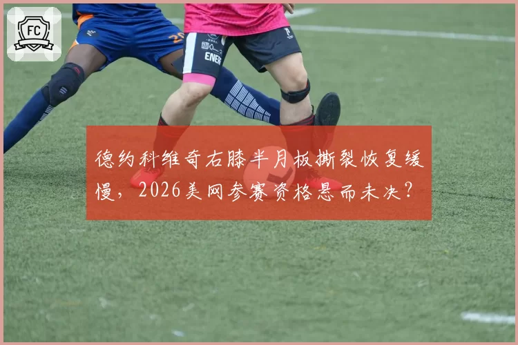 德约科维奇右膝半月板撕裂恢复缓慢，2026美网参赛资格悬而未决？